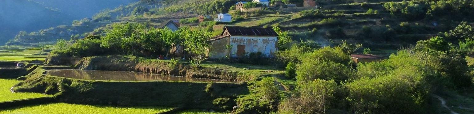 Maison et rizière -paysage d'Antananarivo